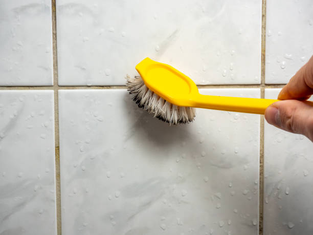 Best Local Mold Removal Service  in Bellmore, NY