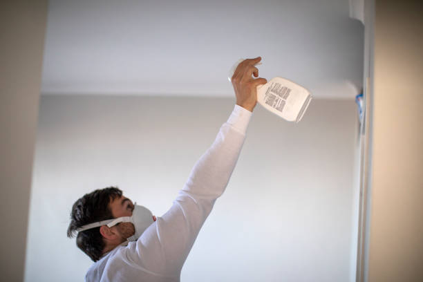 Certified Mold Removal in Bellmore, NY